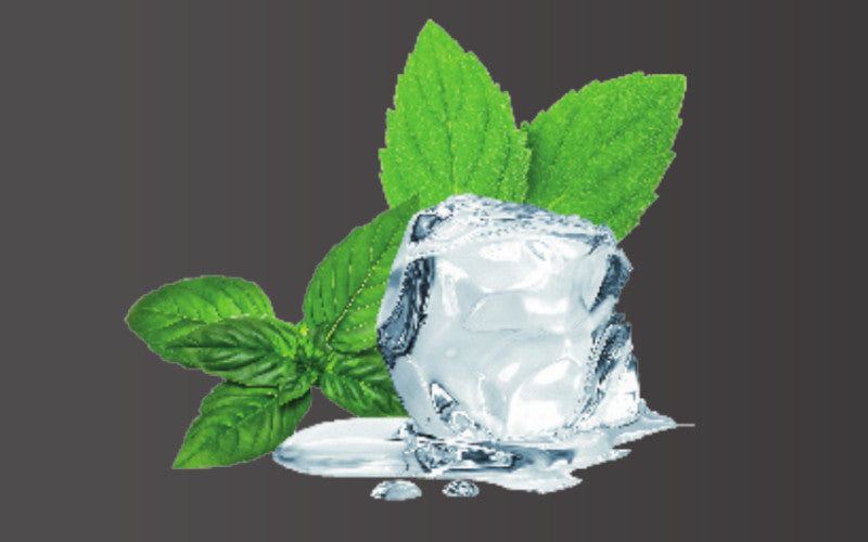 Saunaduft Eisminze
