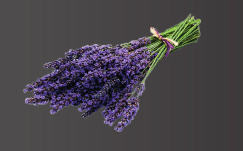 Saunaduft Lavendel