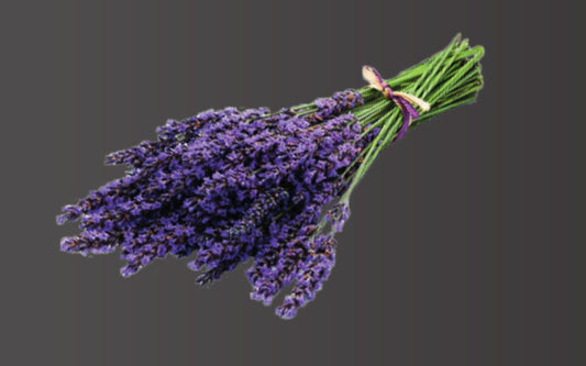 Saunaduft Lavendel