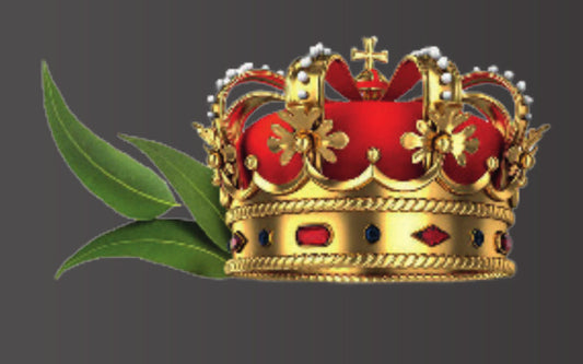 Saunaduft Wilder Eukalyptus